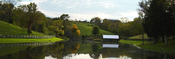 Rustic farm landscape with rolling green hills, trees, a wooden fence, and a calm lake reflecting the scenery.