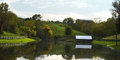 Rustic farm landscape with rolling green hills, trees, a wooden fence, and a calm lake reflecting the scenery.