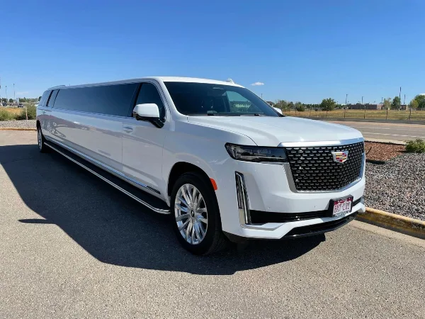 A white stretch limousine parked on an asphalt surface under a clear blue sky.