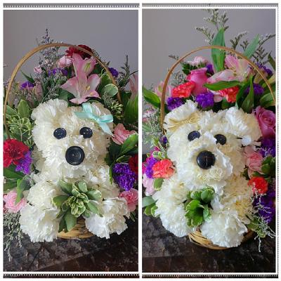 A floral arrangement shaped like a puppy, made of white carnations and other flowers, displayed in a basket.