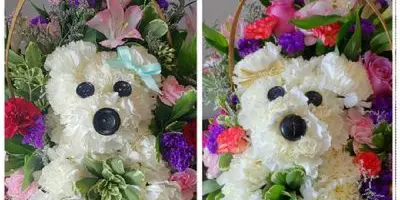 A floral arrangement shaped like a puppy, made of white carnations and other flowers, displayed in a basket.
