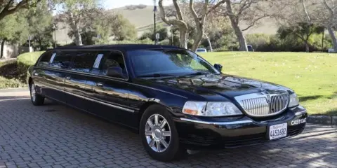A black stretch limousine parked on a paved driveway with a grassy hill and trees in the background.