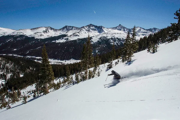 A skier carving a turn on a snowy mountain slope with a backdrop of rugged peaks and evergreen trees.