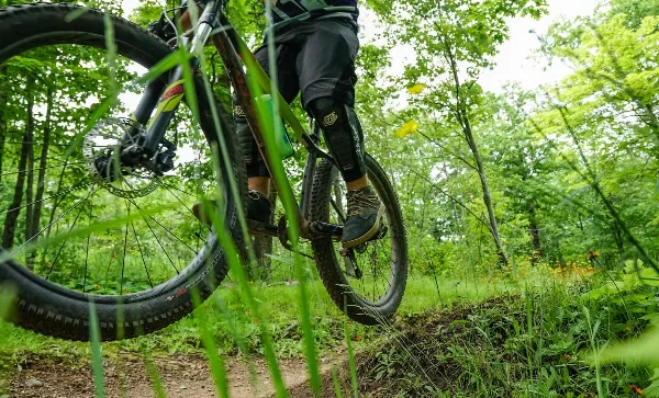 A mountain biker riding a trail through a lush green forest.