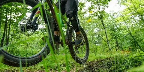 A mountain biker riding a trail through a lush green forest.