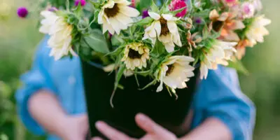 A person holding a bucket of freshly cut flowers including sunflowers and dahlias.