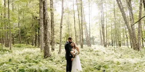 A bride and groom standing together in a lush fern forest clearing with tall trees.