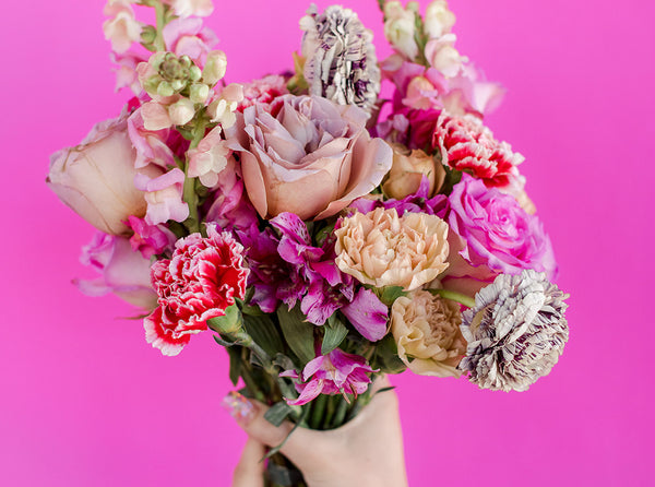 A hand holding a vibrant, mixed bouquet of pink, purple, and white flowers including roses and carnations against a solid pink background.