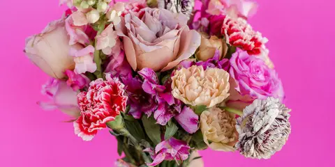 A hand holding a vibrant, mixed bouquet of pink, purple, and white flowers including roses and carnations against a solid pink background.