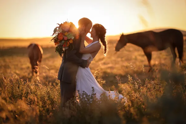 A bride and groom embracing in a grassy field at sunset with horses grazing in the background.