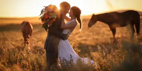 A bride and groom embracing in a grassy field at sunset with horses grazing in the background.