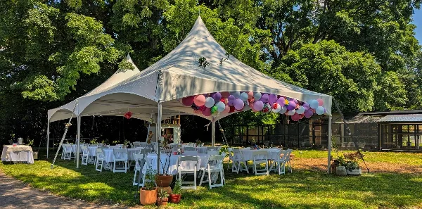 A white event tent set up in a grassy backyard with white tables and chairs arranged underneath, decorated with a balloon garland.