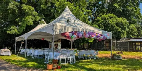 A white event tent set up in a grassy backyard with white tables and chairs arranged underneath, decorated with a balloon garland.