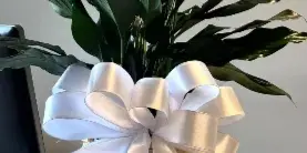 A floral arrangement of white calla lilies in a woven basket with a large white ribbon bow, displayed on a counter.