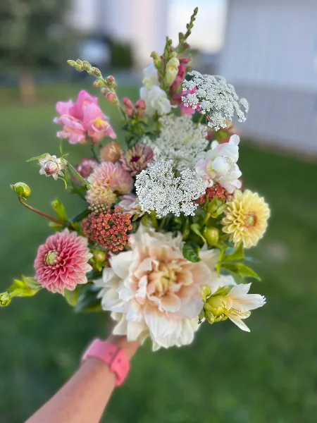 A hand holding a fresh bouquet of mixed cut flowers including dahlia and snapdragon outdoors.