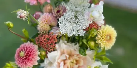 A hand holding a fresh bouquet of mixed cut flowers including dahlia and snapdragon outdoors.