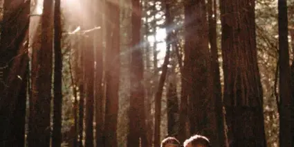 A wedding officiant in white robes stands between a bride and groom holding hands in a sunlit forest.