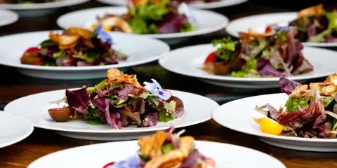 A table filled with numerous white plates, each containing a fresh salad with mixed greens, edible flowers, and garnishes.