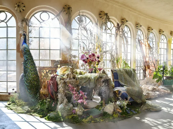 An elaborate floral and drapery installation featuring a peacock, moss, and dried botanicals in a sunlit room with arched windows.
