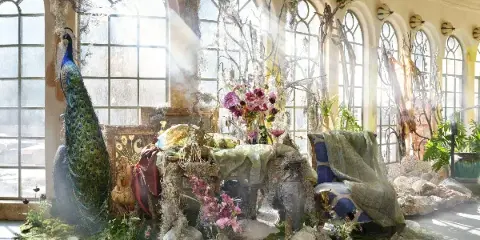 An elaborate floral and drapery installation featuring a peacock, moss, and dried botanicals in a sunlit room with arched windows.