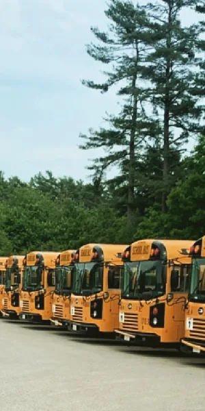 A row of yellow buses parked in a lot with trees in the background.