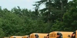 A row of yellow buses parked in a lot with trees in the background.