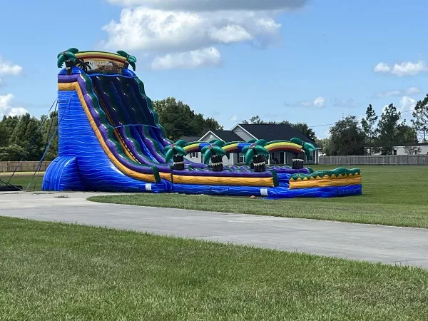 A large, colorful inflatable water slide with a blue and purple theme set up on a grassy lawn.