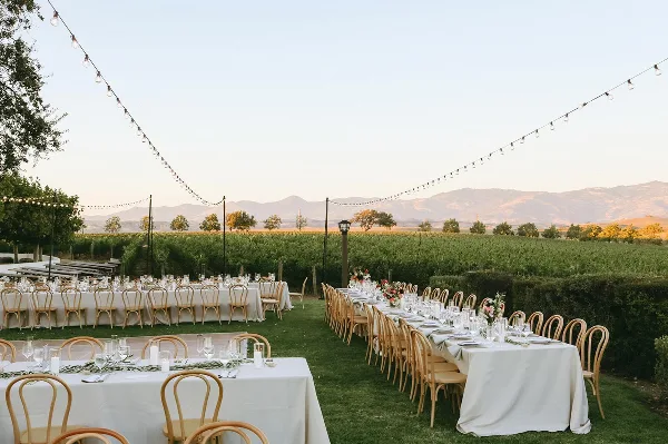 Outdoor wedding reception setup featuring long tables with white linens, wooden chairs, and string lights in a vineyard setting.