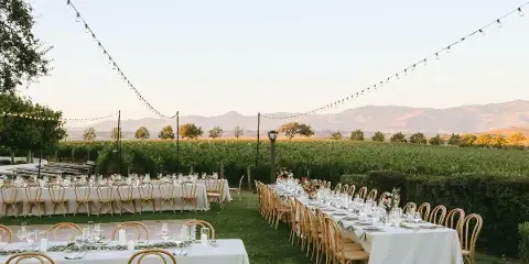 Outdoor wedding reception setup featuring long tables with white linens, wooden chairs, and string lights in a vineyard setting.