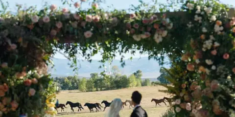 A bride and groom stand under a floral arch during a wedding ceremony with horses running in the background.