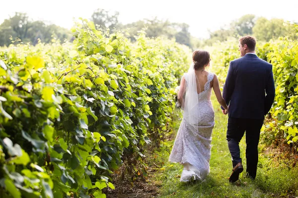 A bride and groom walking hand-in-hand through a vineyard.