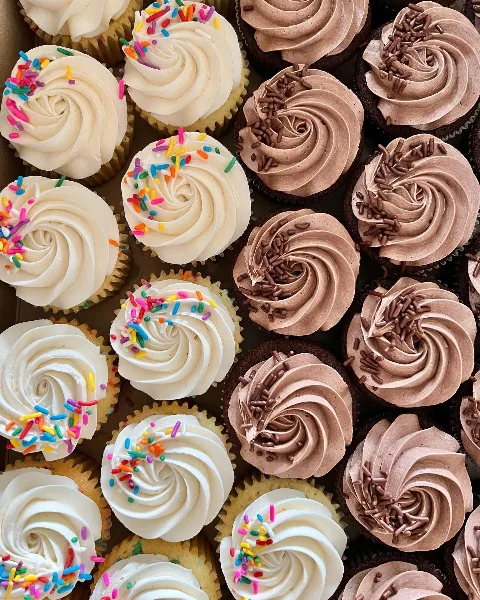 Close-up assortment of vanilla and chocolate cupcakes with sprinkles