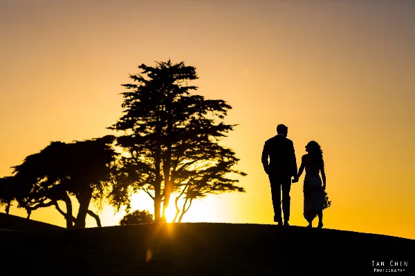 Silhouette of a bride and groom holding hands on a hilltop at sunset with a tree in the background.
