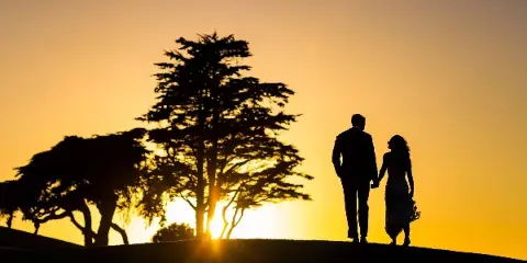Silhouette of a bride and groom holding hands on a hilltop at sunset with a tree in the background.