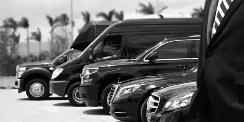 A black and white photograph of a fleet of luxury vehicles, including a party bus and limousines, parked in a row.