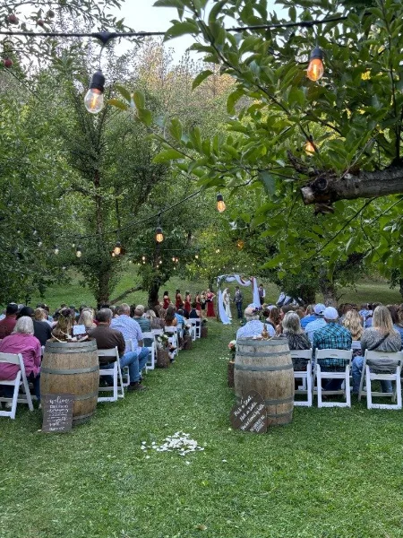 Outdoor wedding ceremony in an orchard with string lights and apple trees