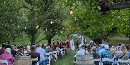 Outdoor wedding ceremony in an orchard with string lights and apple trees