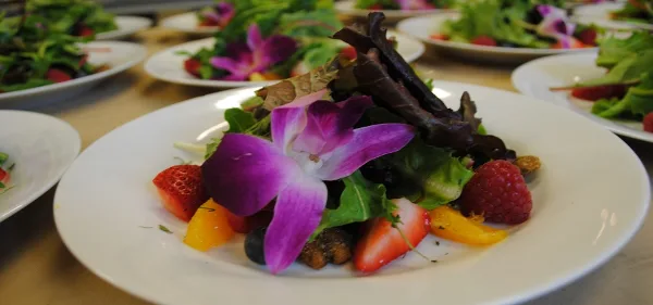 A close-up of a plated salad featuring mixed greens, strawberries, and a purple orchid garnish.