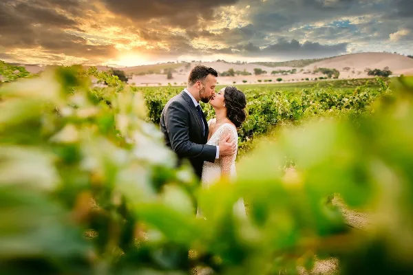 A bride and groom kissing in a vineyard at sunset with rolling hills in the background.