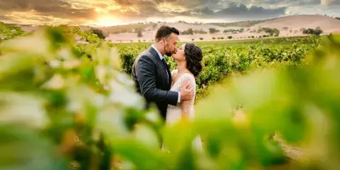 A bride and groom kissing in a vineyard at sunset with rolling hills in the background.