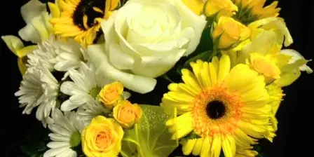 A floral arrangement with white and yellow roses, sunflowers, gerbera daisies, and white chrysanthemums tied with a yellow ribbon against a black background.