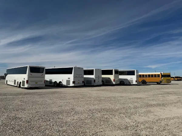 A row of white coach buses and yellow school buses parked in a gravel lot under a blue sky.