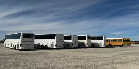 A row of white coach buses and yellow school buses parked in a gravel lot under a blue sky.