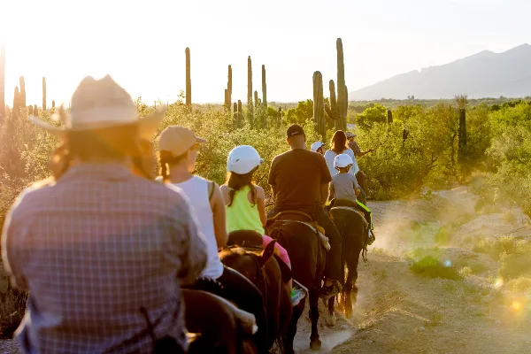 A group of people on horseback riding through a desert landscape with saguaro cacti at sunset.