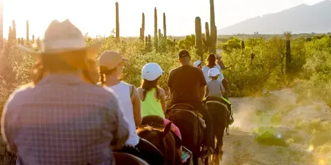 A group of people on horseback riding through a desert landscape with saguaro cacti at sunset.