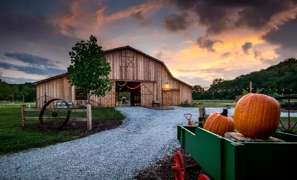 Exterior view of a rustic wooden barn wedding venue at sunset with a gravel driveway and pumpkins in the foreground.