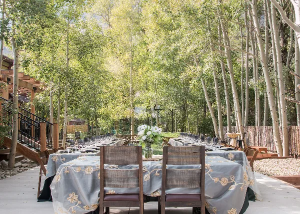 Outdoor wedding reception setup with tables and chairs under aspen trees