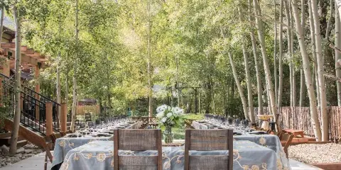Outdoor wedding reception setup with tables and chairs under aspen trees