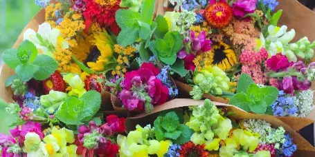 A collection of colorful wildflower bouquets wrapped in brown paper, featuring sunflowers, dahlias, and snapdragons.
