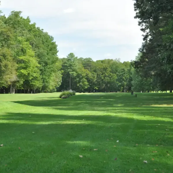 A wide, manicured green golf course fairway lined with tall trees under a bright sky.